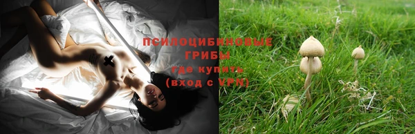 ECSTASY Алзамай