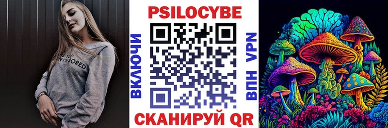 Галлюциногенные грибы Psilocybe  Пролетарск 